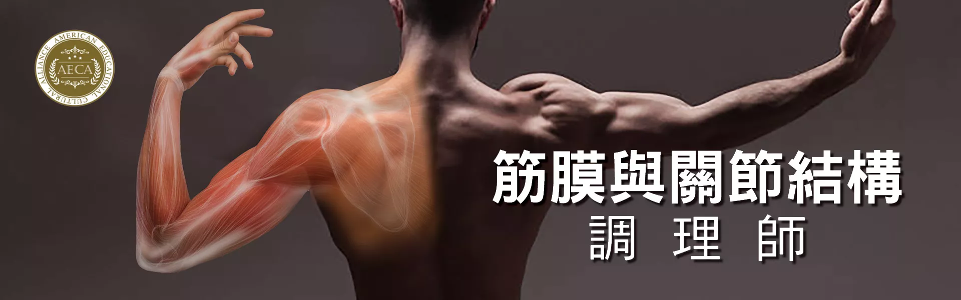 筋膜與關節結構調理師