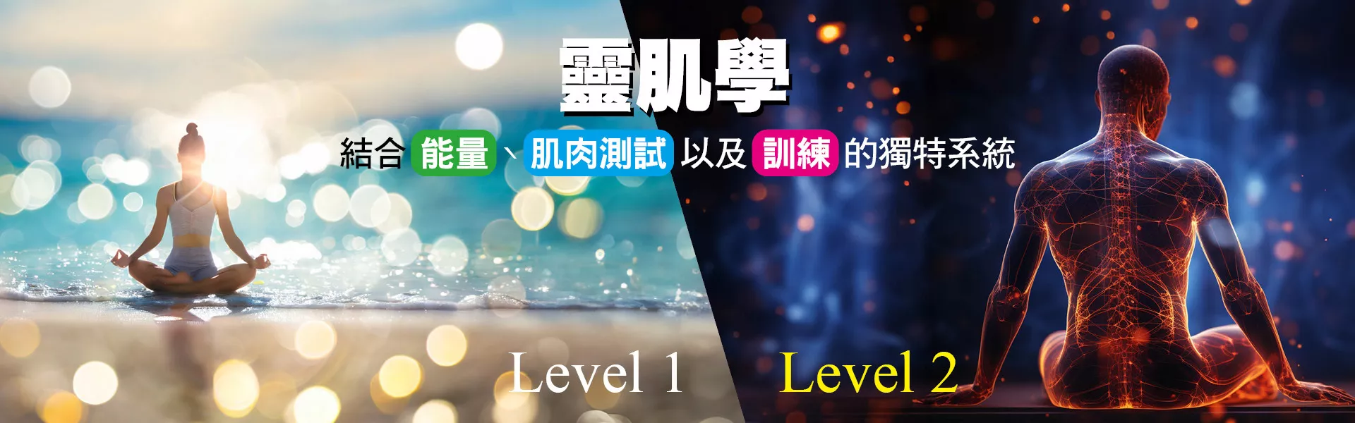 靈肌學-結合能量 肌肉測試以及訓練的獨特系統 Lv1+Lv2